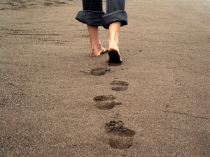 Wandering_Only_photo_FINALIZED