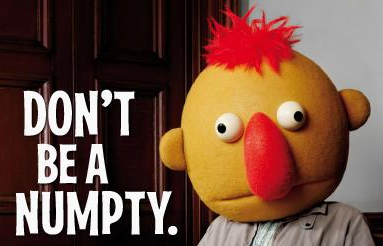 numpty