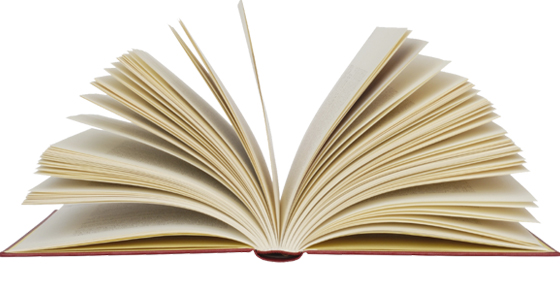 Judge_Book_Cover_small